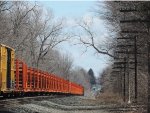 NS rail train cars 